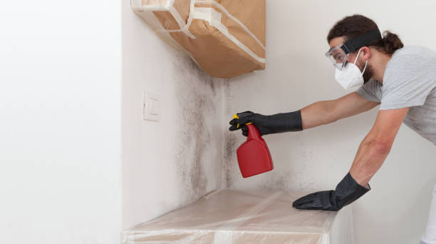Professional Mold Removal technician working in Highland, MD