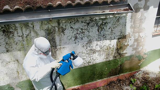 Top rated local Mold Remediation specialists in Highland, MD